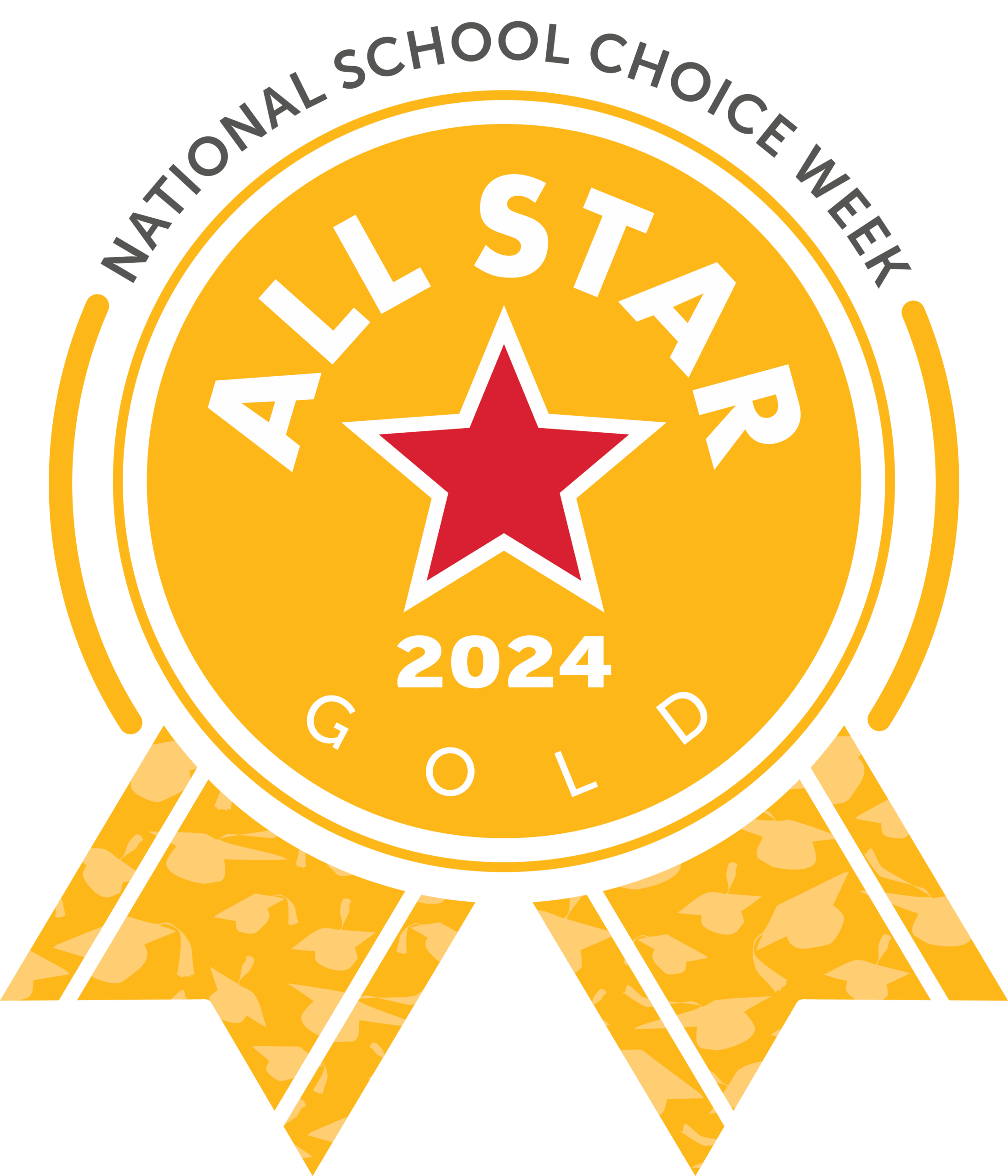 nscw_allstar_2024_gold